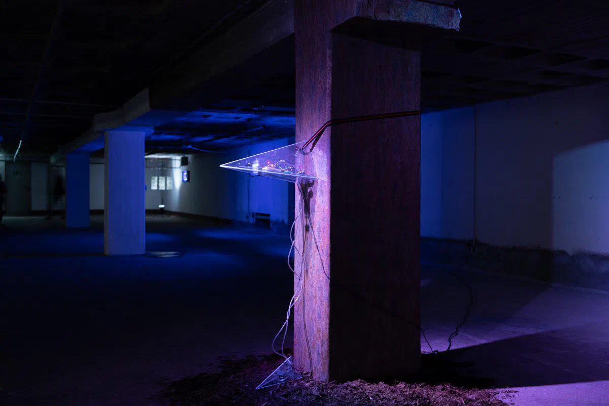 Shifting Tides: Art in a Changing Climate