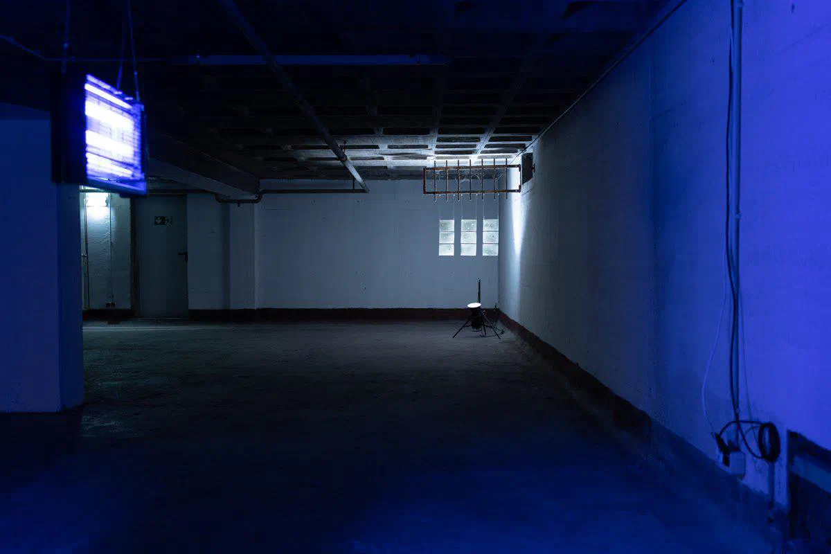 Shifting Tides: Art in a Changing Climate